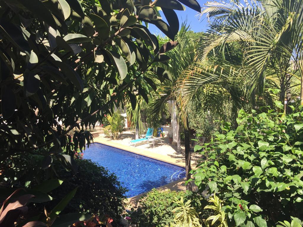 Hotel Flores (Adults Only) Tamarindo Esterno foto