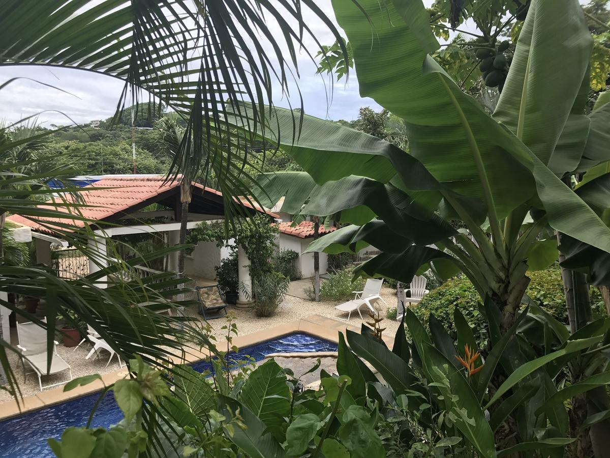 Hotel Flores (Adults Only) Tamarindo Esterno foto