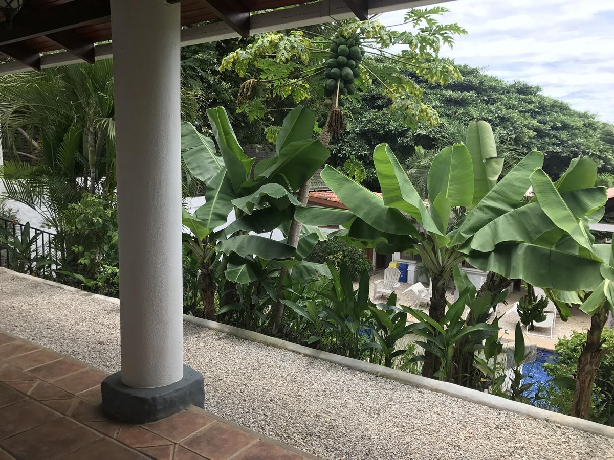 Hotel Flores (Adults Only) Tamarindo Esterno foto